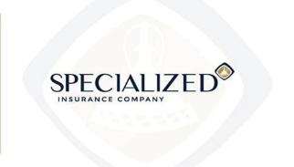 FS Nomads - Newsletter - Jan 2026 230